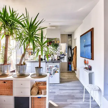 Bright Studio Of 30m² - 20
